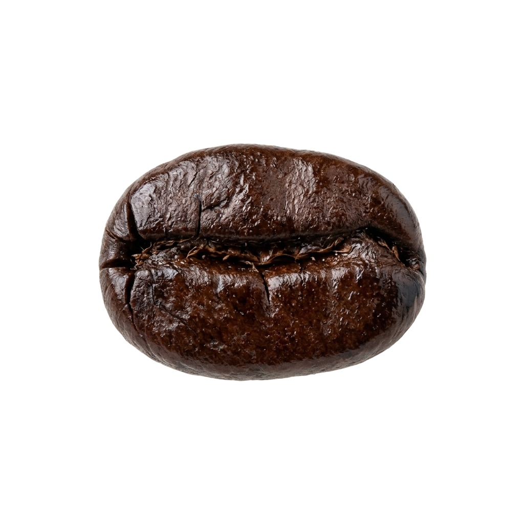 Floating Coffee Bean